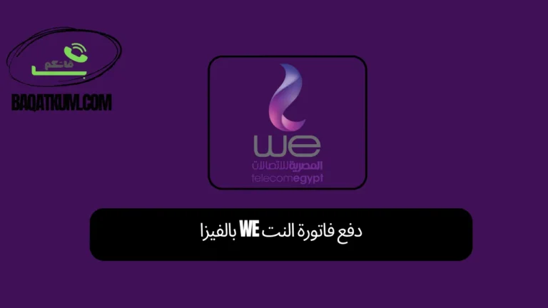 دفع فاتورة النت we بالفيزا