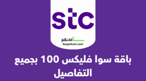 باقة سوا فليكس 100